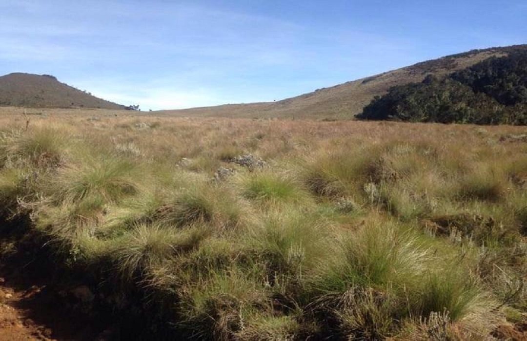 7 Days Kilimanjaro - Machame Route